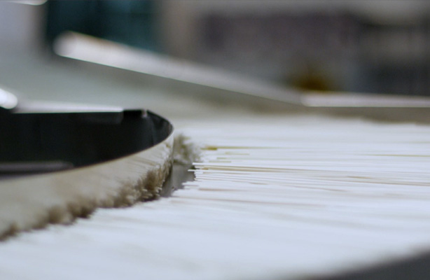 面條為什么會生蟲？